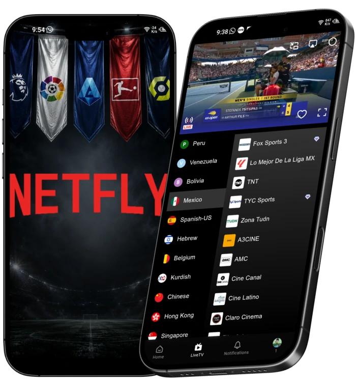 netfly apk